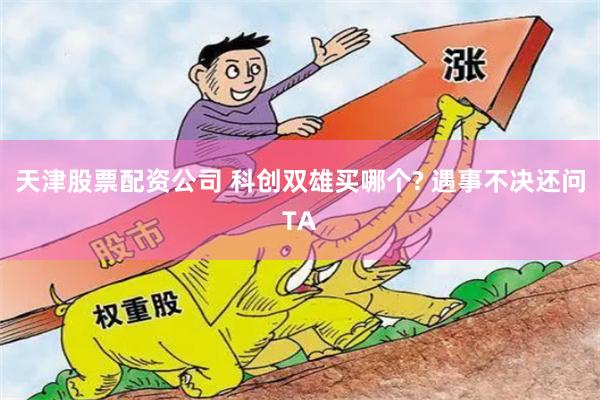 天津股票配资公司 科创双雄买哪个? 遇事不决还问TA