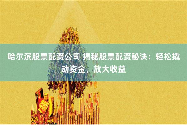 哈尔滨股票配资公司 揭秘股票配资秘诀：轻松撬动资金，放大收益