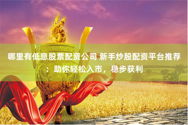 哪里有低息股票配资公司 新手炒股配资平台推荐:助你轻松入市,稳步获利