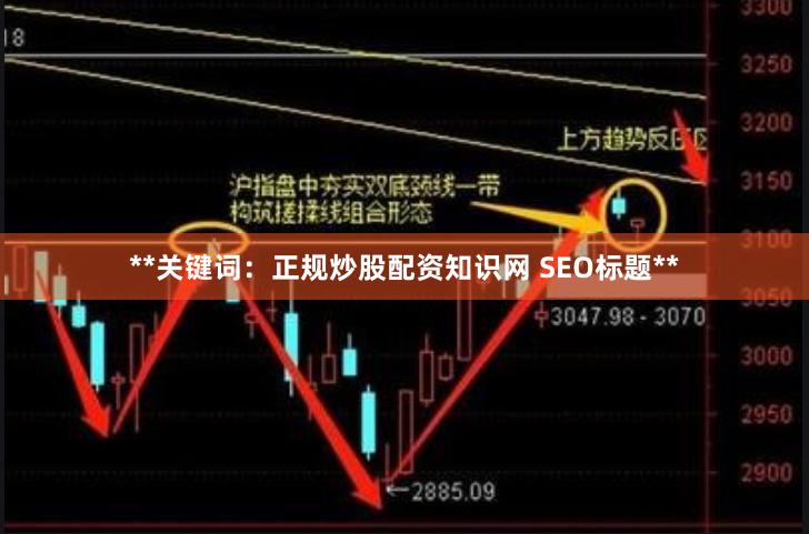 **关键词：正规炒股配资知识网 SEO标题**