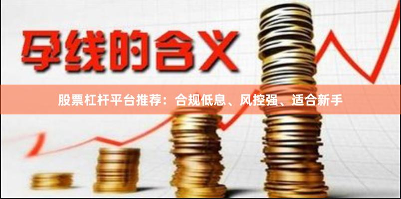 股票杠杆平台推荐：合规低息、风控强、适合新手